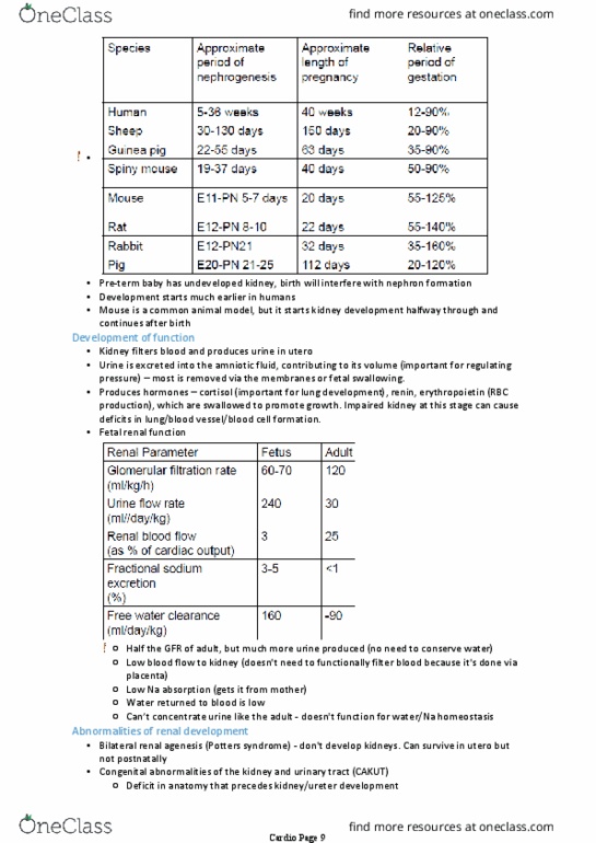 PHYS30001 Lecture Notes - Lecture 28: Renal Agenesis, Erythropoietin, Cortisol thumbnail