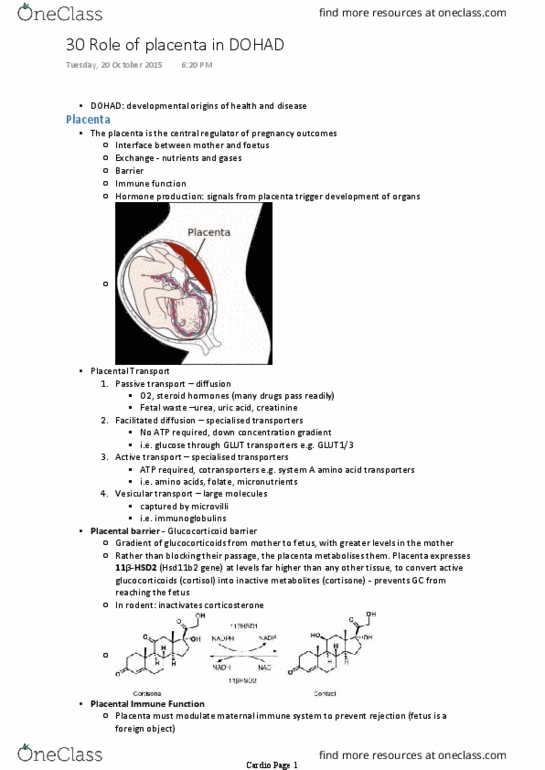 PHYS30001 Lecture 30: 30 Role of placenta in DOHAD A thumbnail