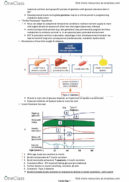 document preview image