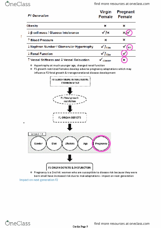 document preview image