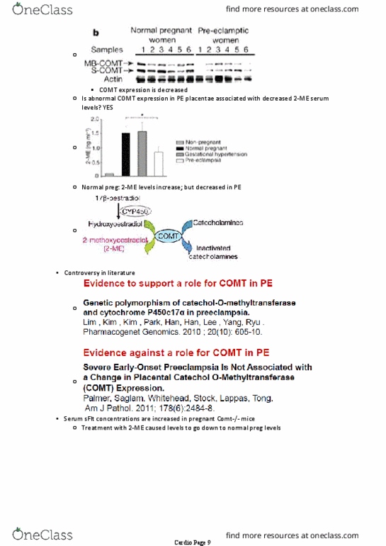 document preview image