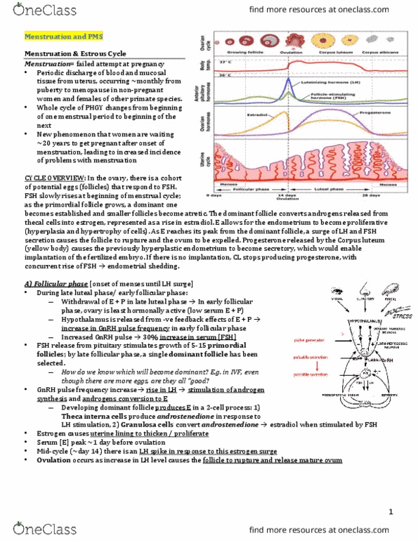INDS 211 Lecture Notes - Lecture 18: Folliculogenesis, Follicular Phase, Theca Interna thumbnail