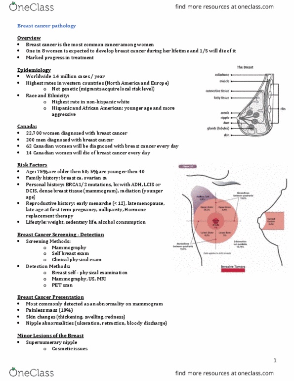 INDS 211 Lecture Notes - Lecture 11: Supernumerary Nipple, Breast Cancer, Nipple Discharge thumbnail