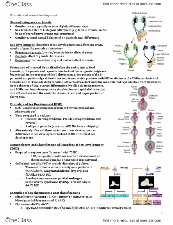 INDS 211 Lecture Notes - Lecture 28: Karyotype, Sexual Differentiation, Sex Steroid thumbnail