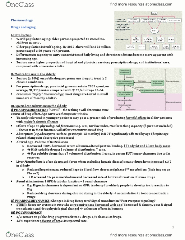 INDS 211 Lecture Notes - Lecture 34: Lean Body Mass, Signal Transduction, Therapeutic Index thumbnail