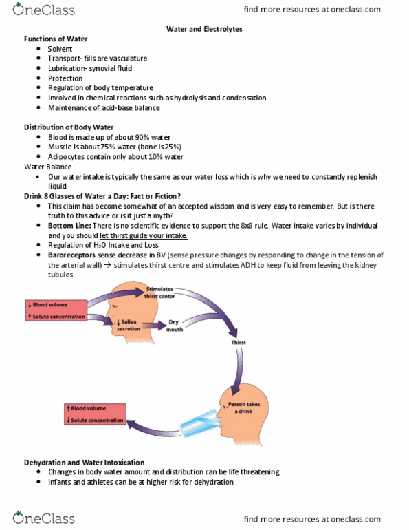 HTHSCI 3BB3 Lecture Notes - Lecture 5: Decarboxylation, Dementia, Hyperglycemia thumbnail