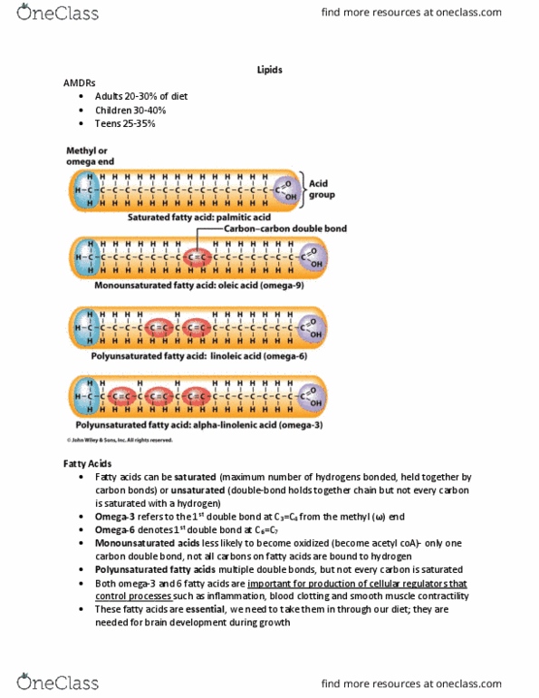 document preview image