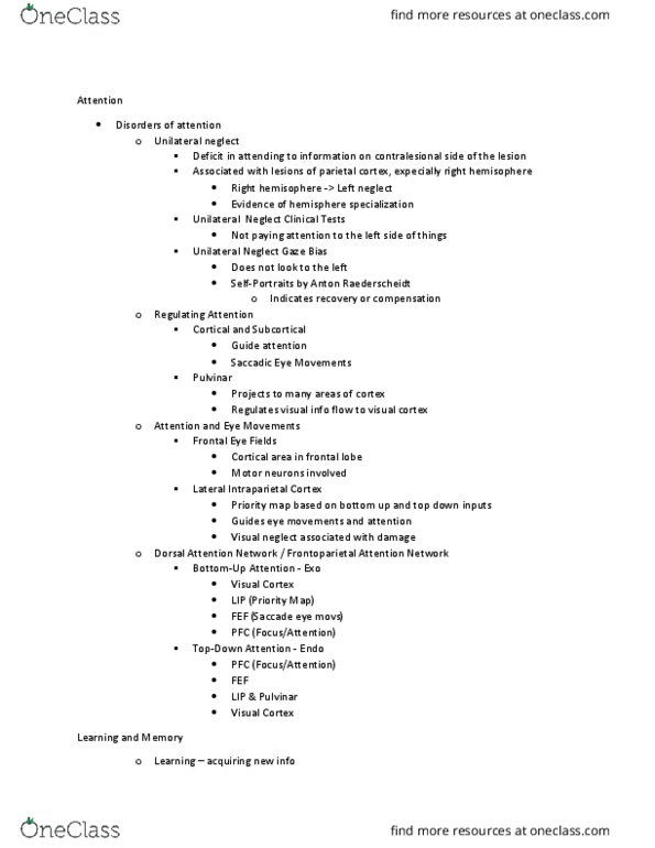 NEUR 2001 Lecture Notes - Lecture 4: Hemispatial Neglect, Frontal Lobe, Visual Cortex thumbnail