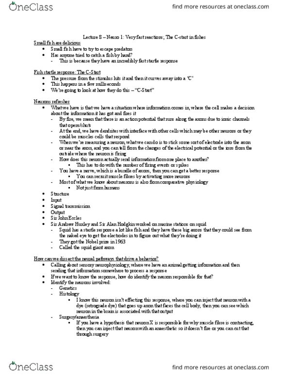 Biology 3601A/B Lecture Notes - Lecture 8: Squid Giant Axon, Andrew Huxley, Alan Lloyd Hodgkin thumbnail