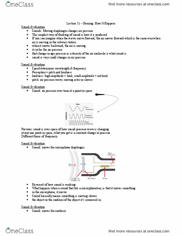 Biology 3601A/B Lecture Notes - Lecture 11: Dynein, Ahir, Basilar Membrane thumbnail