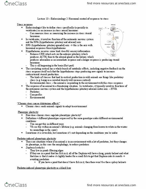 Biology 3601A/B Lecture Notes - Lecture 13: Anterior Pituitary, Autonomic Nervous System, Endocrinology thumbnail