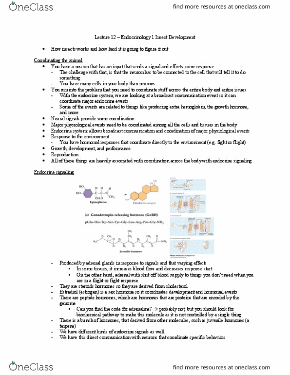 Biology 3601A/B Lecture Notes - Lecture 12: Juvenile Hormone, Peptide Hormone, Terpene thumbnail