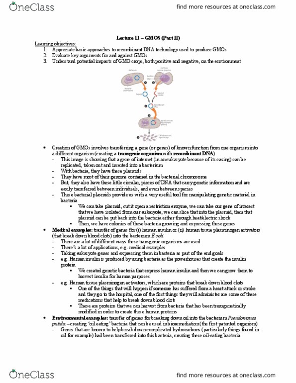 Biology 2485B Lecture Notes - Lecture 11: Plasmin, Plasmid, Bioremediation thumbnail
