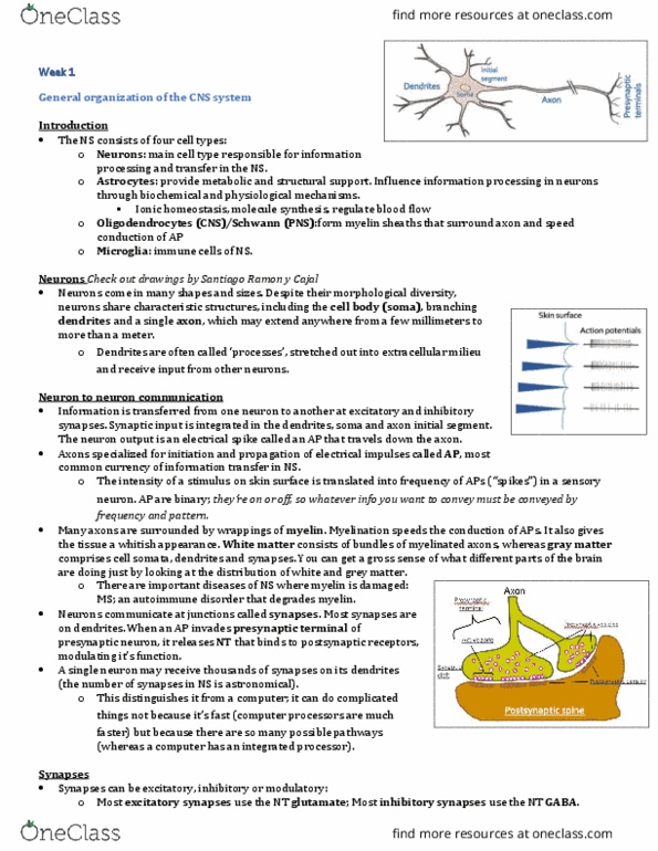 INDS 212 Lecture Notes - Lecture 1: Chemical Synapse, Autoimmune Disease, Sensory Neuron thumbnail