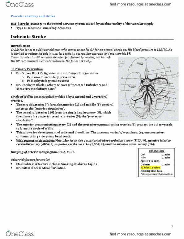 INDS 212 Lecture Notes - Lecture 21: Anterior Inferior Cerebellar Artery, Posterior Inferior Cerebellar Artery, Posterior Communicating Artery thumbnail