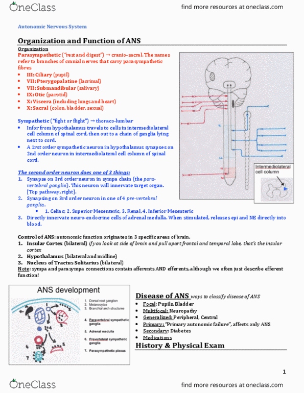 INDS 212 Lecture Notes - Lecture 59: Intermediolateral Nucleus, Prevertebral Ganglia, Insular Cortex thumbnail