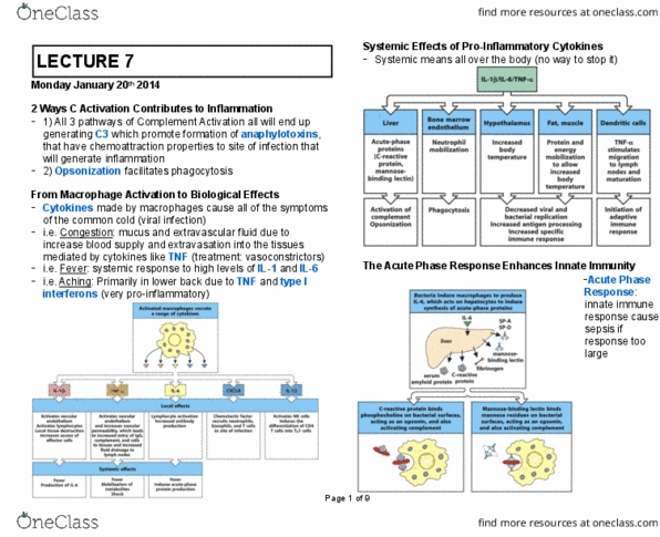 MIMM 214 Lecture Notes - Lecture 7: Innate Immune System, Chemotaxis, Sepsis thumbnail