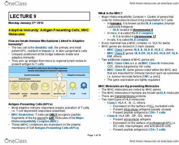 MIMM 214 Lecture Notes - Lecture 10: Antigen-Presenting Cell, Mhc Class Ii, Mhc Class I thumbnail