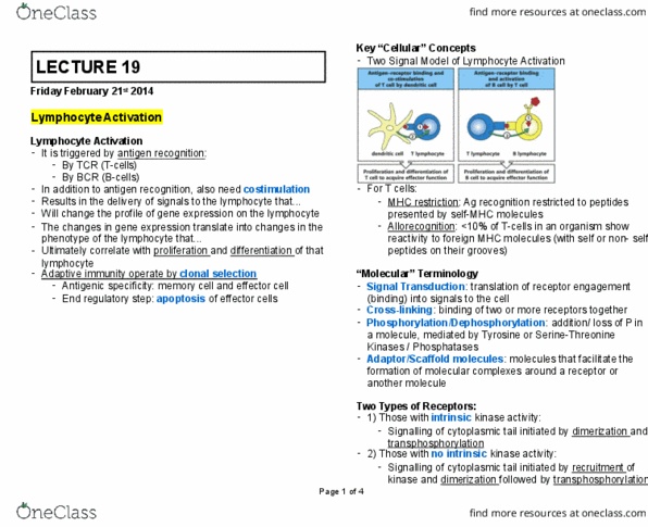 document preview image