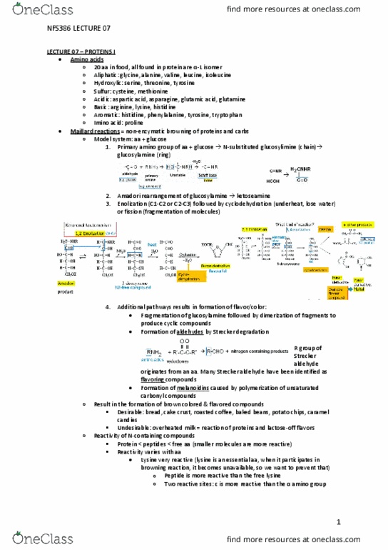NFS386H1 Lecture Notes - Lecture 7: Amadori Rearrangement, Imino Acid, Lysine thumbnail