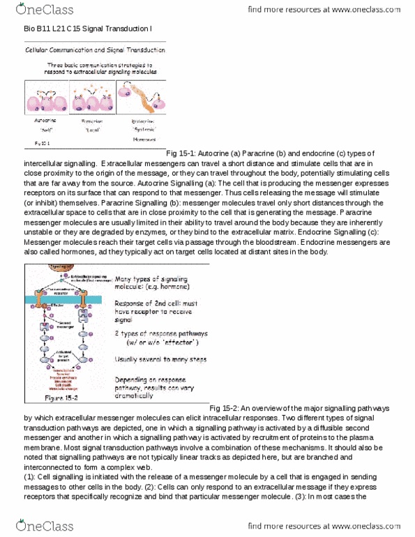 BIOB11H3 Lecture Notes - Signal Transduction, Autocrine Signalling, Cell Signaling thumbnail