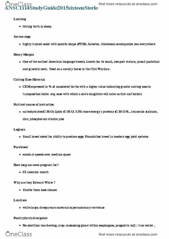 SCM 3307 Lecture Notes - Lecture 1: Cattle, Droopy, Posttraumatic Stress Disorder thumbnail