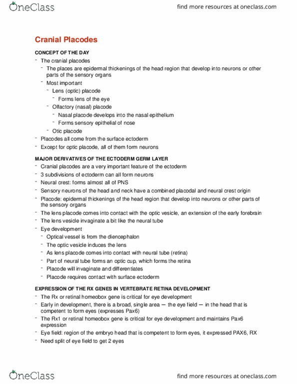 CMMB 403 Lecture Notes - Lecture 33: Otic Vesicle, Neurogenic Placodes, Optic Vesicle thumbnail