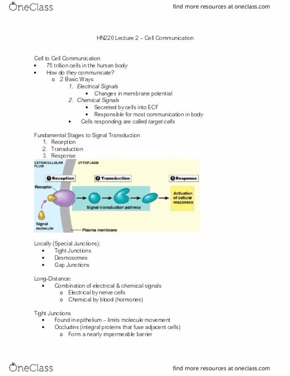 HN220 Lecture Notes - Lecture 2: Membrane Potential, Sodium-Potassium Alloy, Cardiac Muscle thumbnail