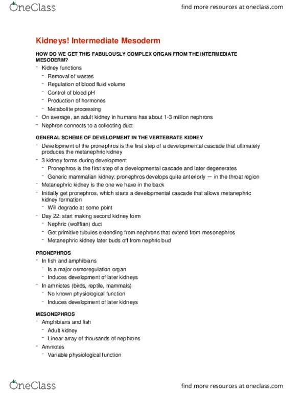 CMMB 403 Lecture Notes - Lecture 37: Intermediate Mesoderm, Pronephros, Bud Bud thumbnail