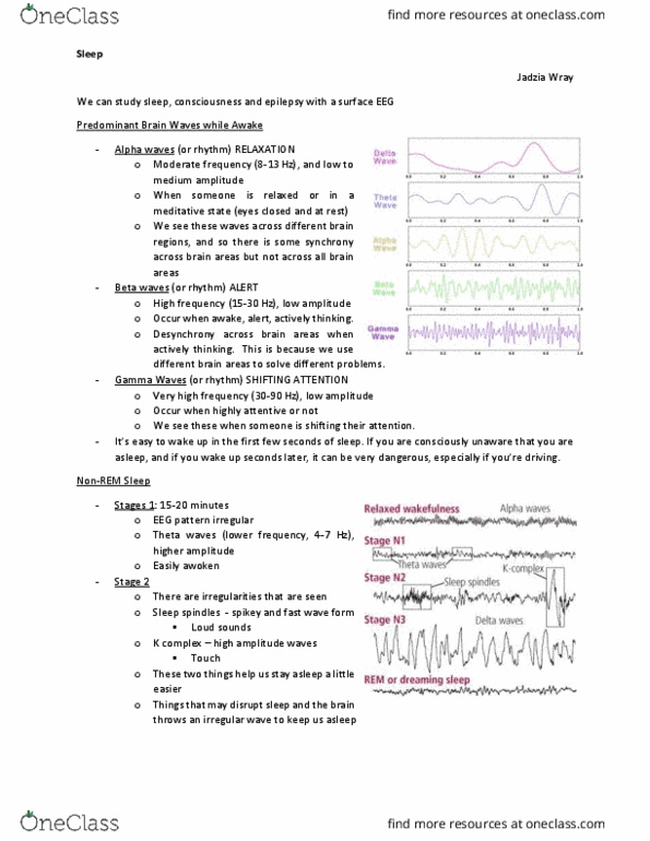 NEUR 001 Lecture Notes - Lecture 23: Very High Frequency, Sleep Spindle, Alpha Wave thumbnail