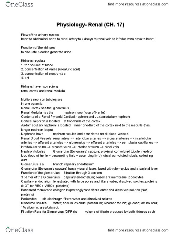 CBIO 1000E Chapter Notes - Chapter 17: Distal Convoluted Tubule, Proximal Tubule, Renal Vein thumbnail