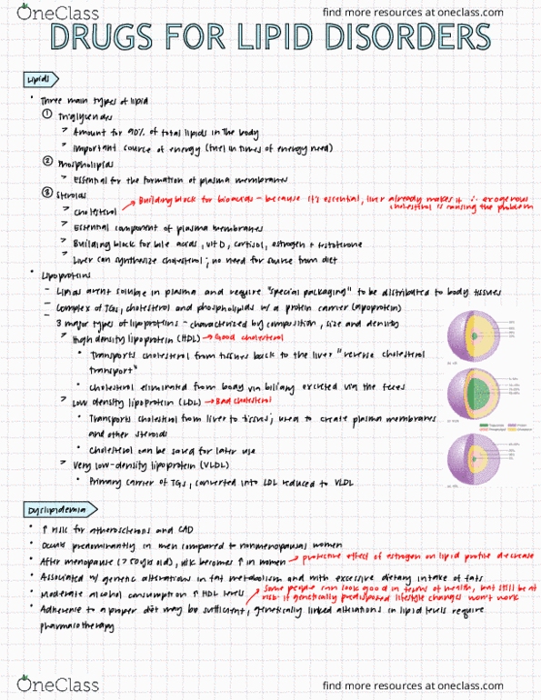 HTHSCI 2H03 Lecture Notes - Lecture 13: Low-Density Lipoprotein, Lipoprotein, Very Low-Density Lipoprotein thumbnail