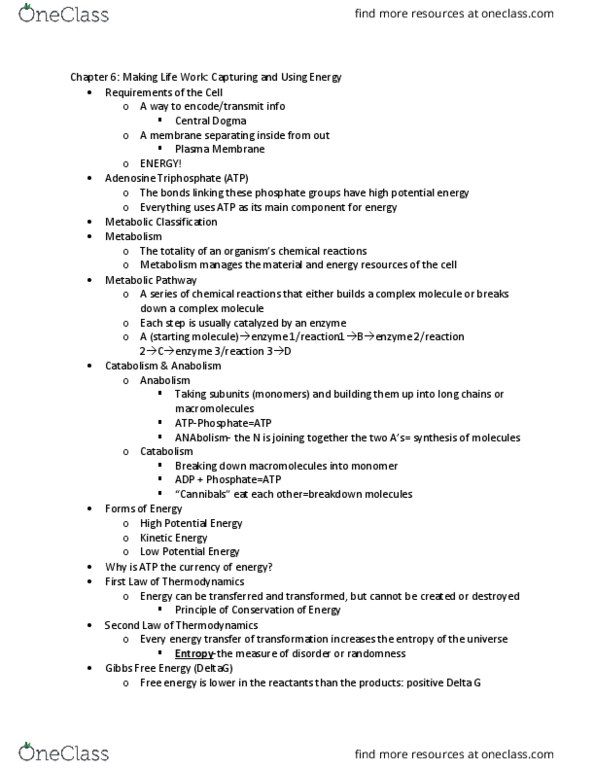 BIOL 101 Chapter 6: Study Notes at South Carolina thumbnail