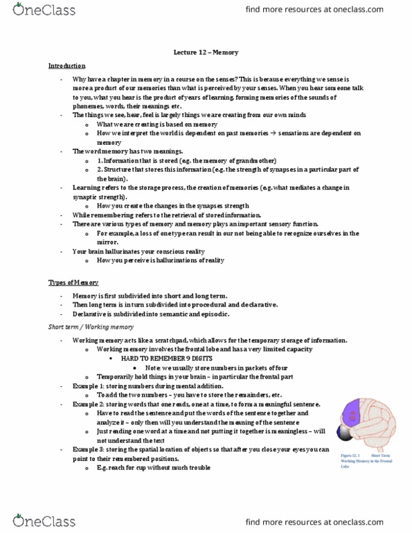 Physiology 4710A/B Lecture Notes - Lecture 12: Frontal Lobe, Long-Term Memory, Explicit Memory thumbnail