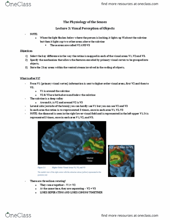 Physiology 4710A/B Lecture Notes - Lecture 3: Visual Cortex, Retina, The Features thumbnail