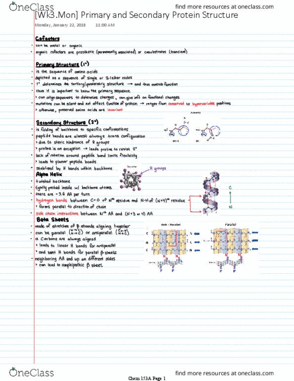 CHEM 153A Lecture 3: [Wk3.Mon] Primary and Secondary Protein Structure thumbnail