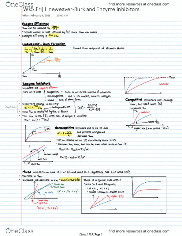 CHEM 153A Lecture Notes - Lecture 5: Enzyme thumbnail