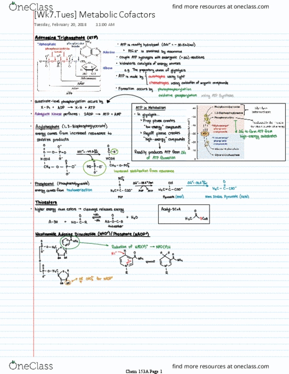 CHEM 153A Lecture 7: [Wk7.Tues] Metabolic Cofactors thumbnail