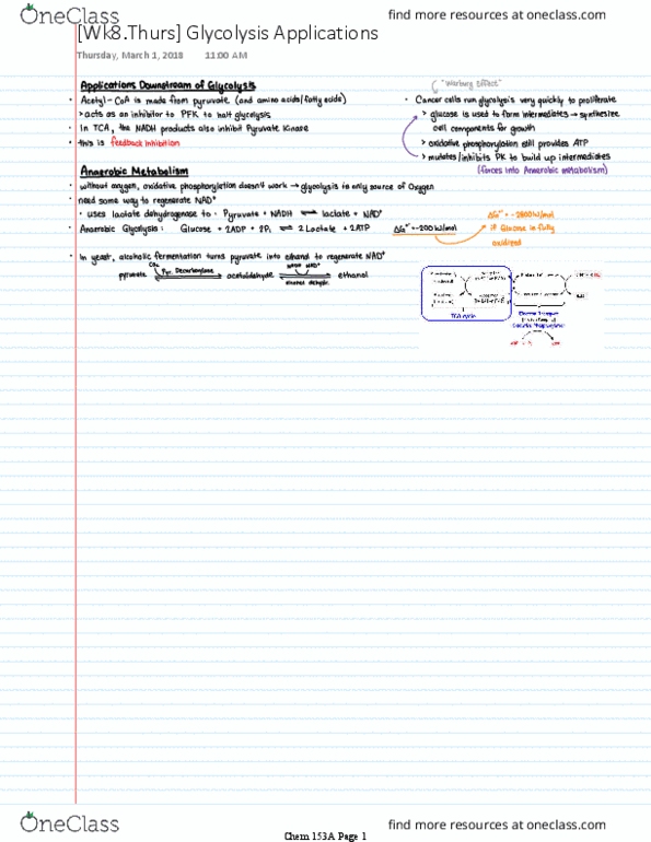 CHEM 153A Lecture 8: [Wk8.Thurs] Glycolysis Applications thumbnail