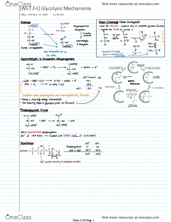 CHEM 153A Lecture 7: [Wk7.Fri] Glycolysis Mechanisms thumbnail