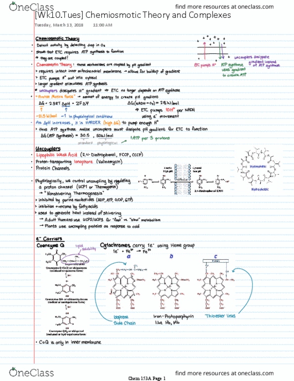 CHEM 153A Lecture 10: [Wk10.Tues] Chemiosmotic Theory and Complexes thumbnail