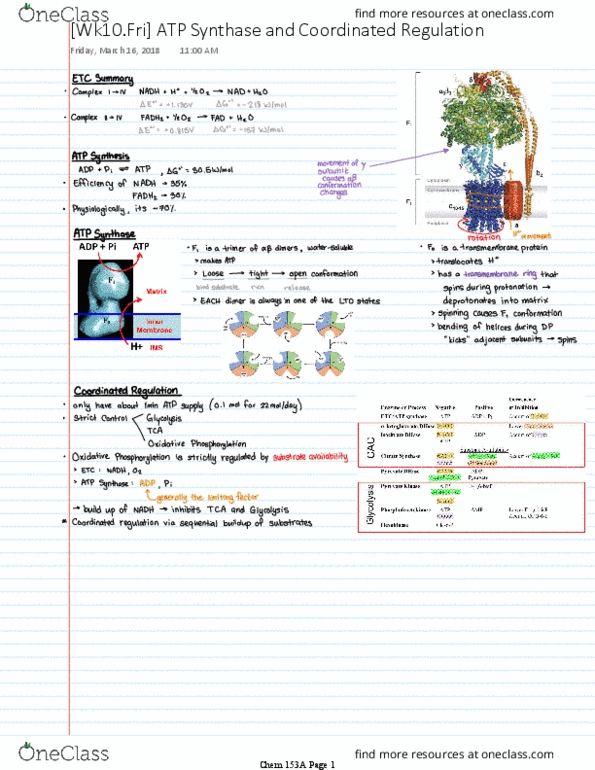 CHEM 153A Lecture 10: [Wk10.Fri] ATP Synthase and Coordinated Regulation thumbnail