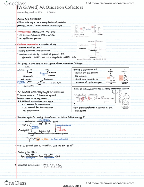 CHEM 153C Lecture 3: [Wk3] AA Oxidation Cofactors thumbnail