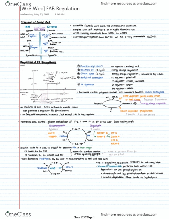 CHEM 153C Lecture 8: [Wk8] FAB Regulation thumbnail