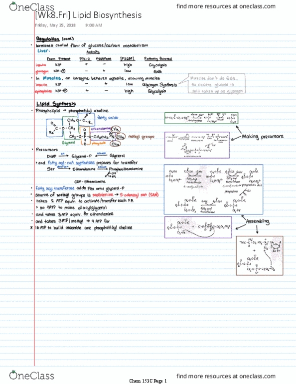 CHEM 153C Lecture 8: [Wk8] Lipid Biosynthesis thumbnail
