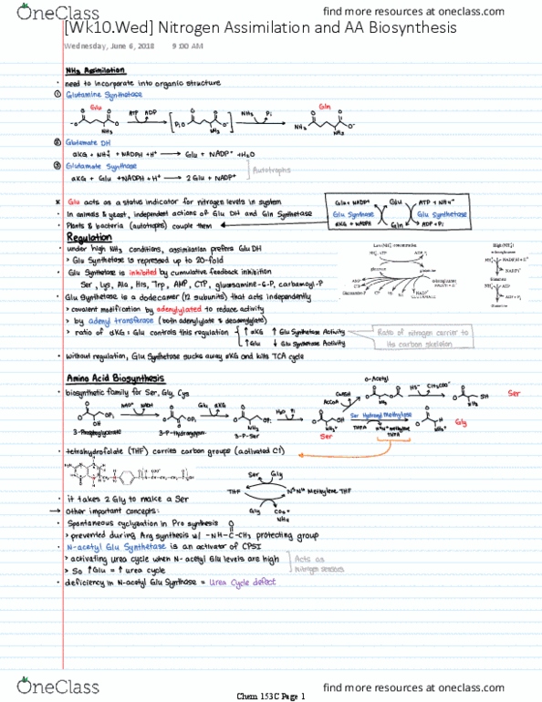 CHEM 153C Lecture 10: [Wk10] Nitrogen Assimilation and AA Biosynthesis thumbnail