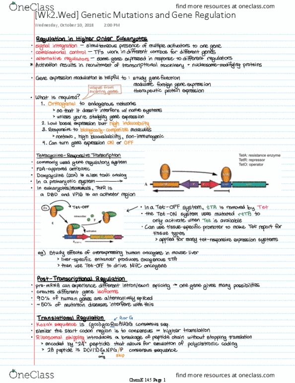 CH ENGR 145 Lecture 2: Genetic Mutations and Gene Regulation thumbnail