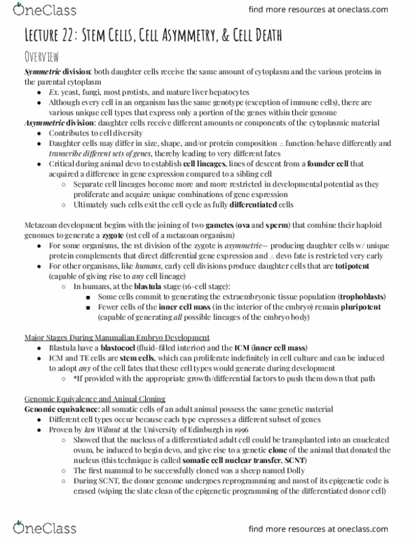 BSC 300 Lecture 22: 22 - Stem Cells, Cell Asymmetry, and Cell Death thumbnail