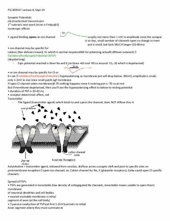 PSL300H1 Lecture 4: Lecture 4 - Synaptic Potentials thumbnail