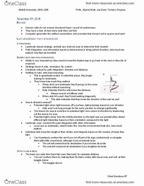 BIOL 306 Lecture Notes - Lecture 24: Waggle Dance, Path Integration, Optical Flow thumbnail